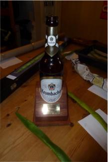 The Ray Wilkinson Memorial Trophy