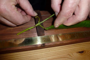 St James' Church - The Clock Mechanism made by Gillet and Co