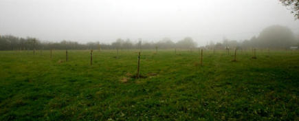 The Village Orchard One Year After the First Planting