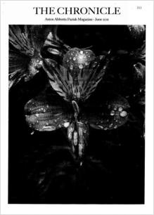 Chronicle Cover