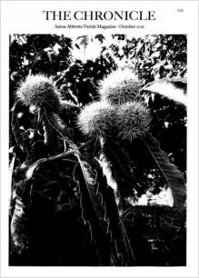Chronicle Cover