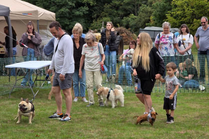 Aston Abbotts Fete 2025 - The Fun Dog Show