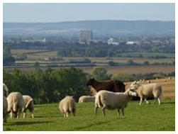View of Aylesbury from Aston Abbotts