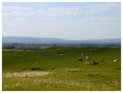 Aston Abbotts fields