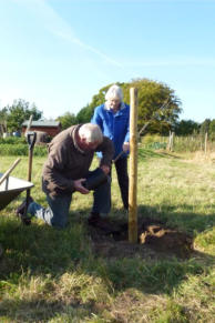 Peter Knight helps Christine Scott plant the first tree