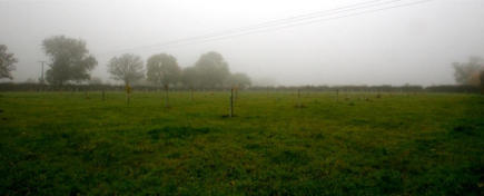 The Village Orchard One Year After the First Planting