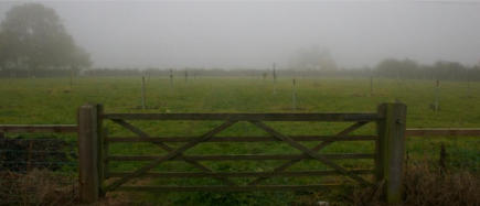 The Village Orchard One Year After the First Planting