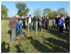 Vic Scott Memorial Orchard