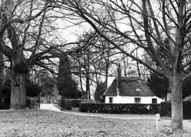 The Green at Aston Abbotts, showing one of the two Elm trees that used to stand there
